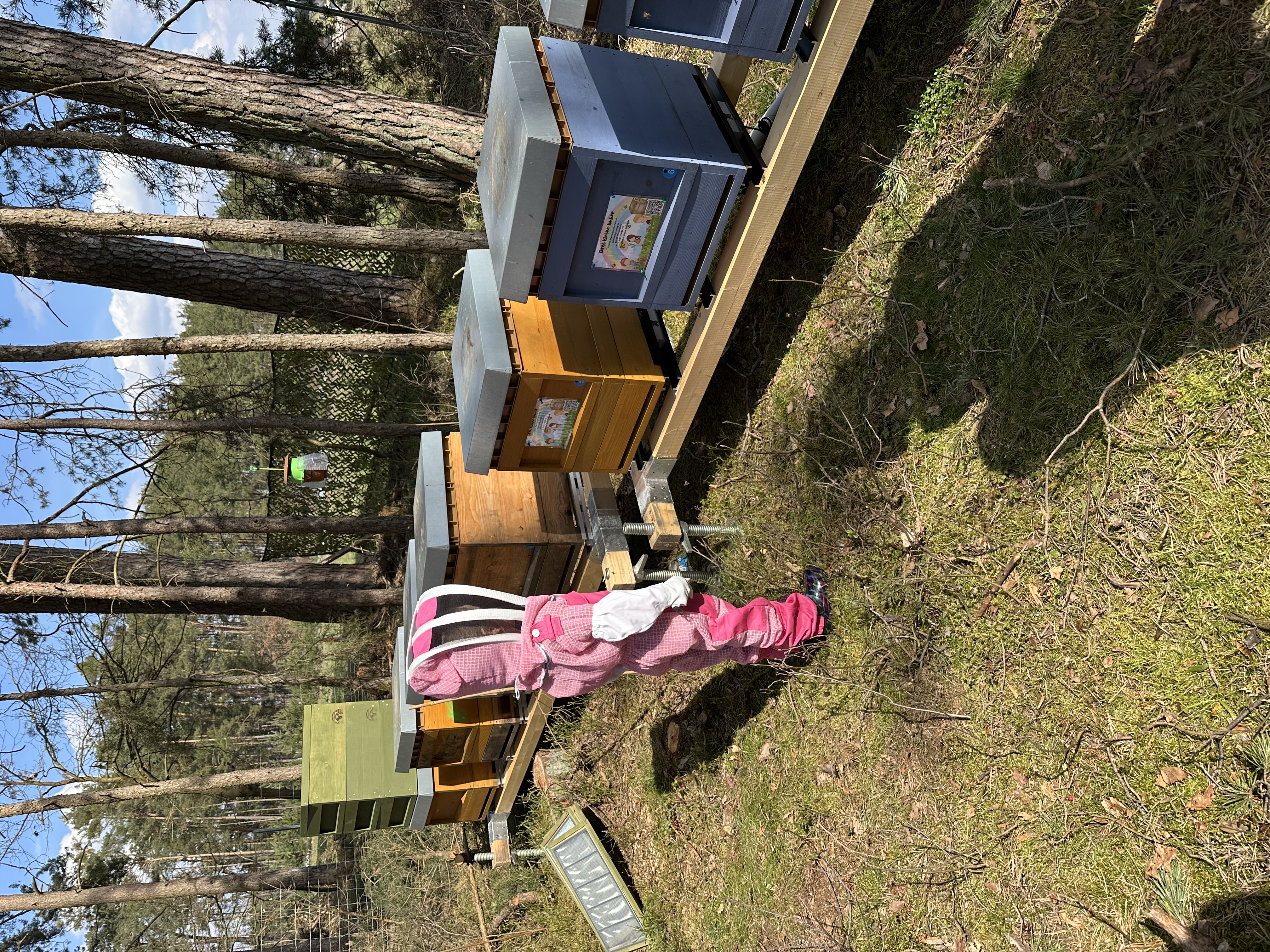 Kind am Bienenstand zwischen den Beuten